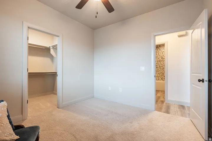 Plush carpeting, ceiling fan, walk-in closet with shelving and hanging rods, and wood-finish flooring