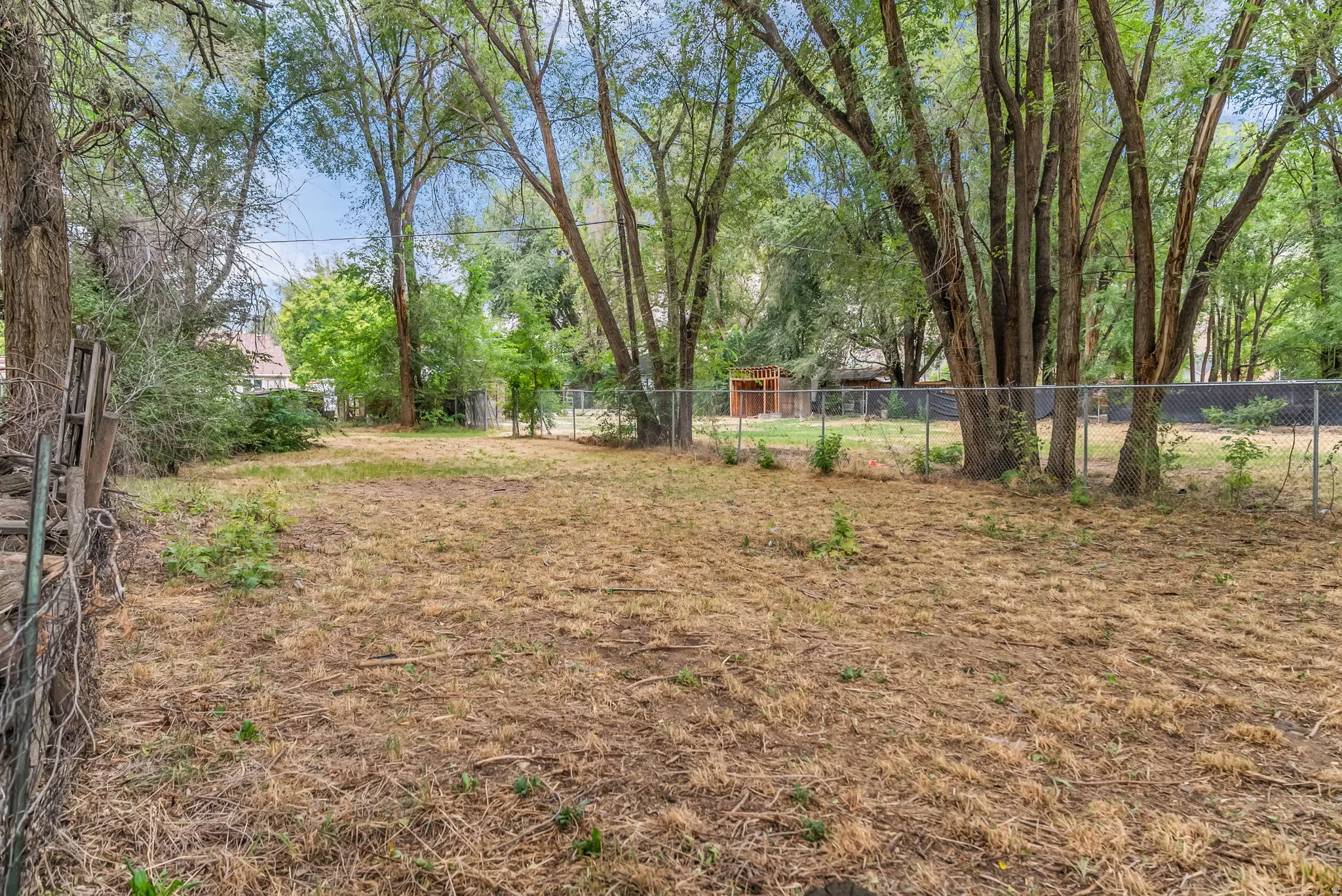 Expansive yard space featuring mature trees and a chain-link fence