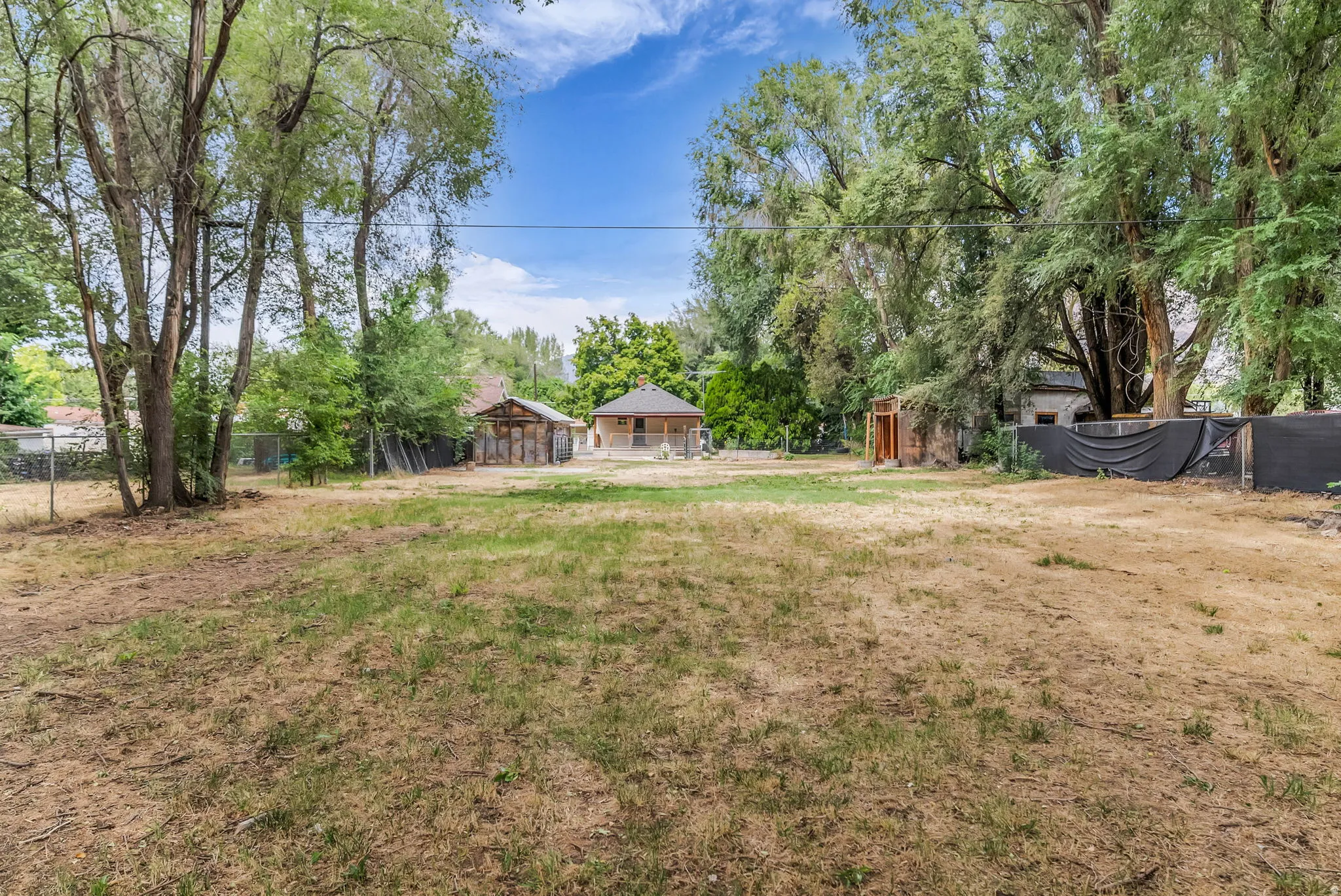 Expansive rear yard with mature trees