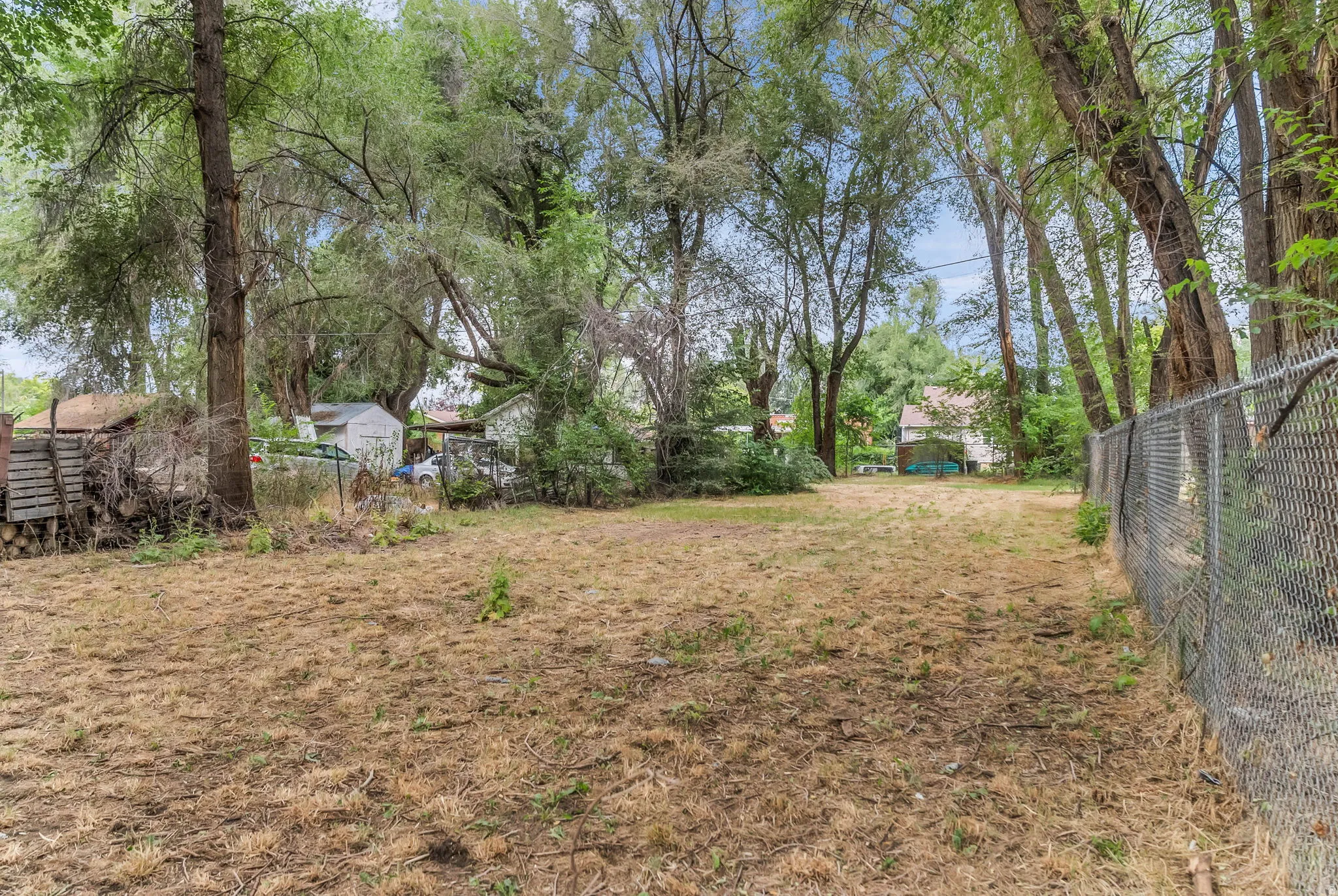 Expansive lot with mature trees and perimeter chain-link fencing