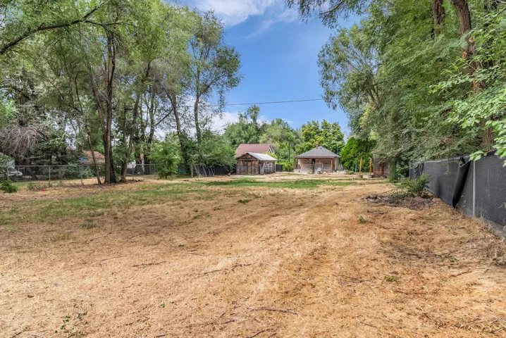 Expansive lot with mature trees and two outbuildings
