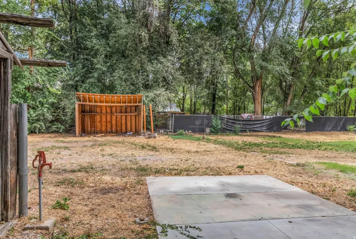 Spacious backyard with mature tree coverage, concrete pad foundation, and rustic wooden storage structures
