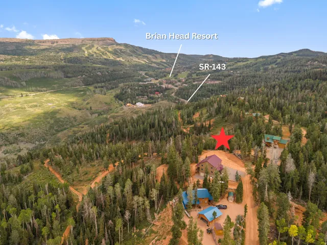 Mountainous terrain with dense forest, visible ski slopes, and properties nestled among trees
