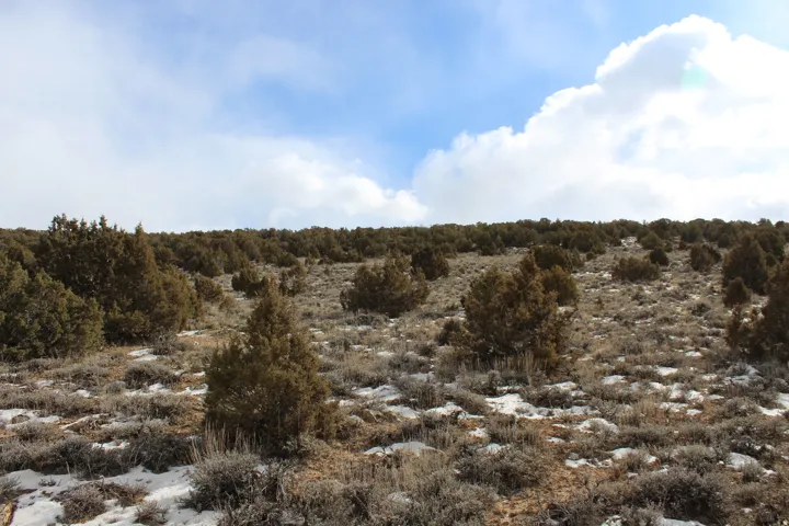 3215 E Little Valley Rd, Vernal, Utah 84078