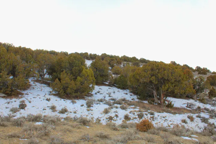 3215 E Little Valley Rd, Vernal, Utah 84078