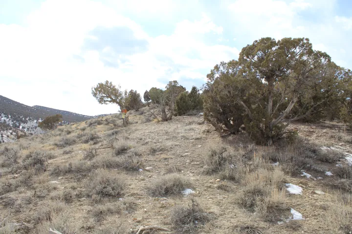 3215 E Little Valley Rd, Vernal, Utah 84078