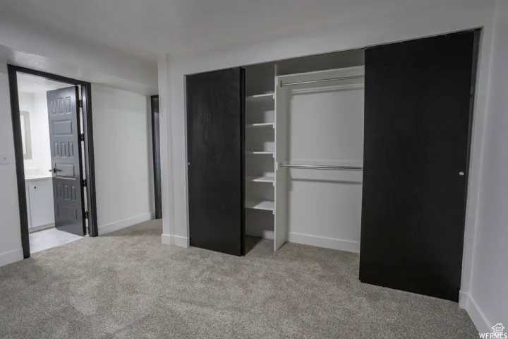 Plush grey carpeting, spacious closet with integrated shelving, dark paneled doors, and white walls