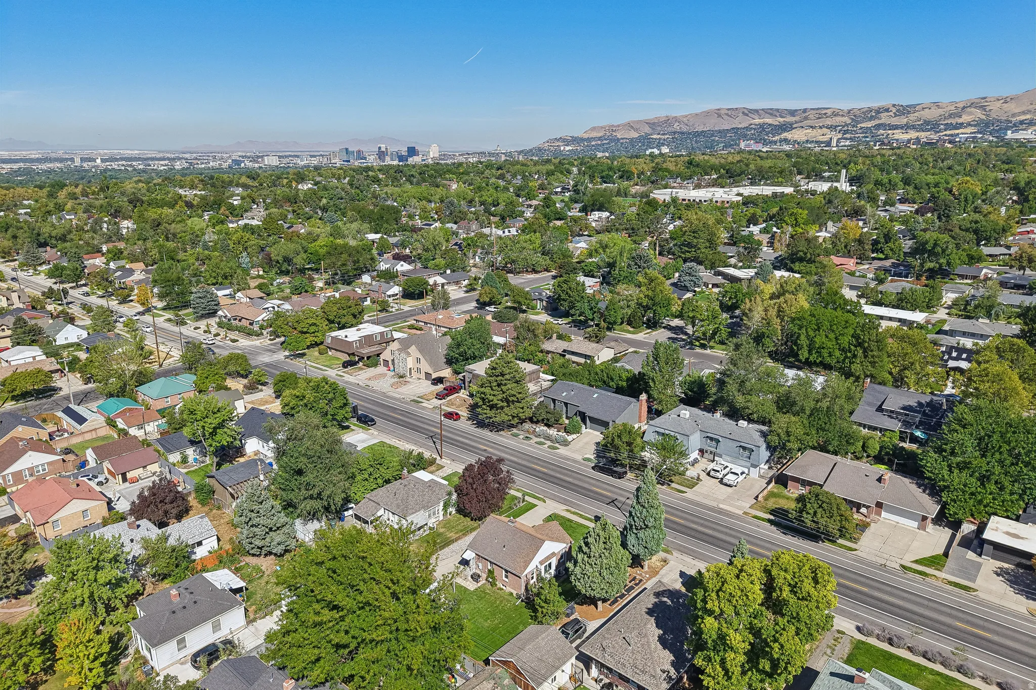 Residential neighborhood with mature trees, established properties, and distant city skyline