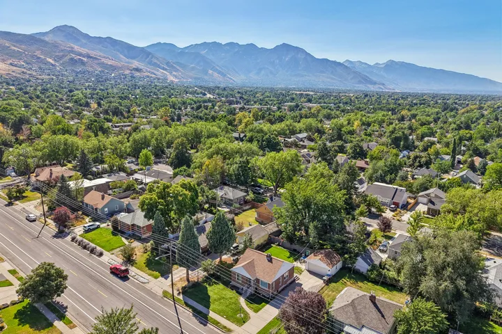 Mountain backdrop with a dense tree canopy and residential street