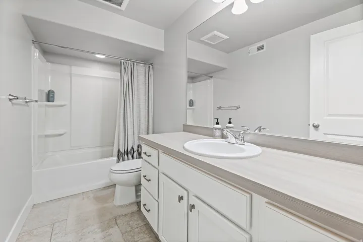 Basement Bathroom