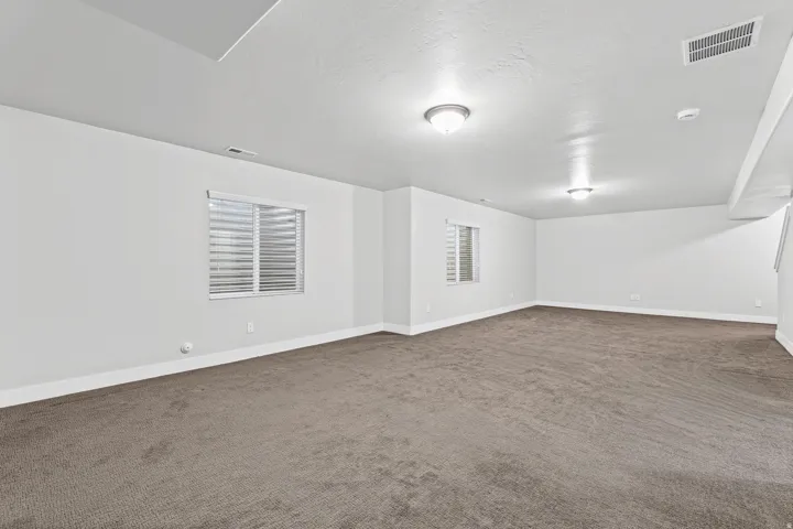 Basement Family Room