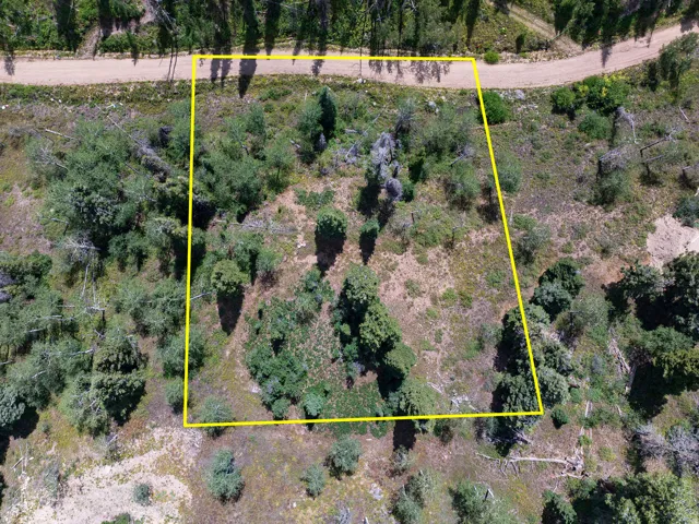 Wooded lot featuring a natural landscape and an unpaved road