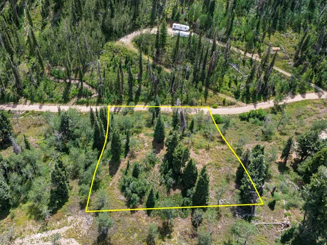 Wooded property featuring a natural landscape and an unpaved road