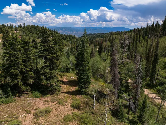 Expansive mountain terrain with dense evergreen and deciduous trees