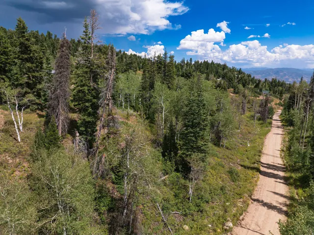 Elevated parcel featuring dense tree coverage, a natural dirt road, and distant mountain scenery