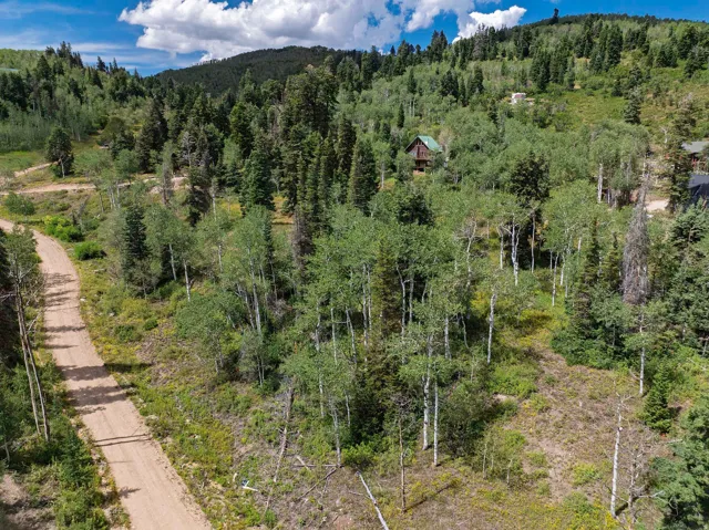 Natural landscape with a dirt road, diverse tree coverage including aspens and evergreens, and a mountain backdrop