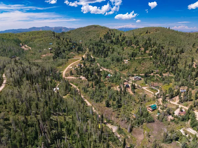 Mountainous terrain with extensive tree coverage and visible dirt roads