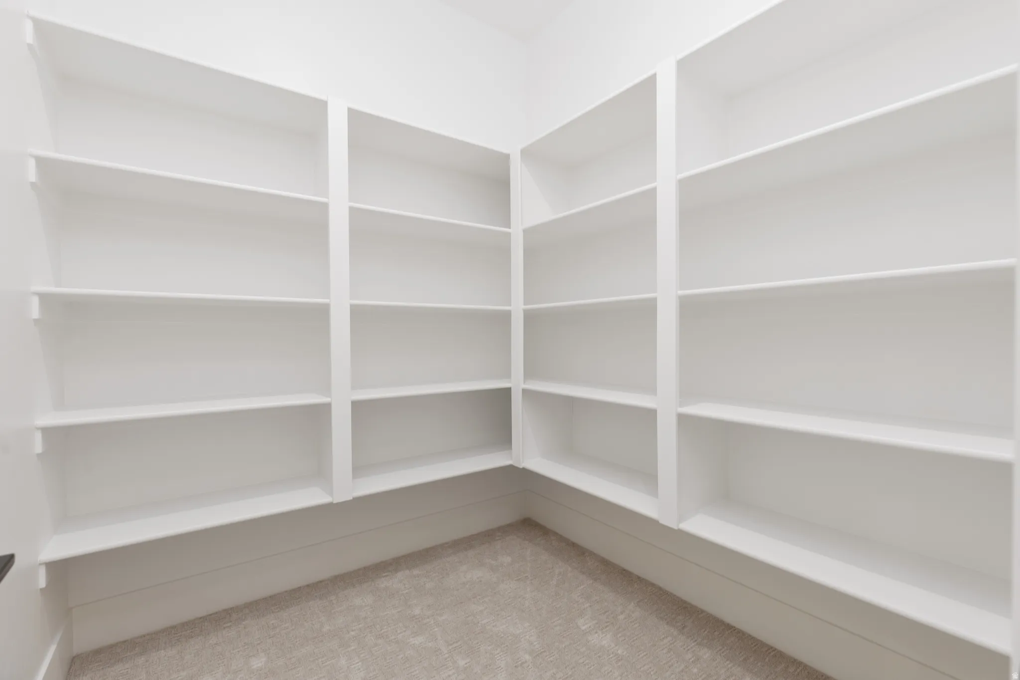 Built-in shelving units offering extensive storage capacity