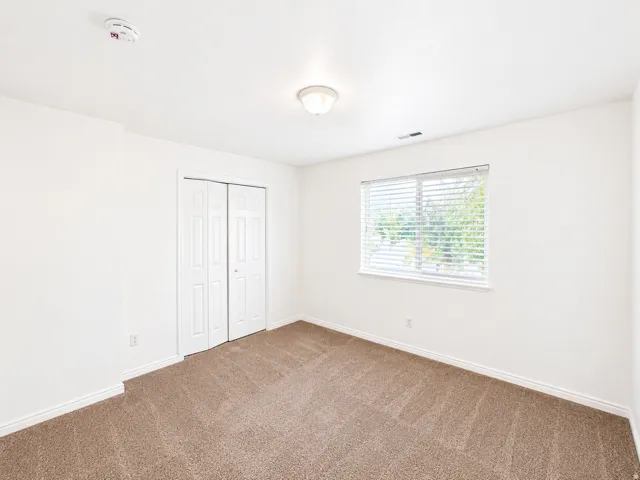 Neutral wall color, carpet flooring, window with blinds, ceiling-mounted light fixture, and bifold closet doors