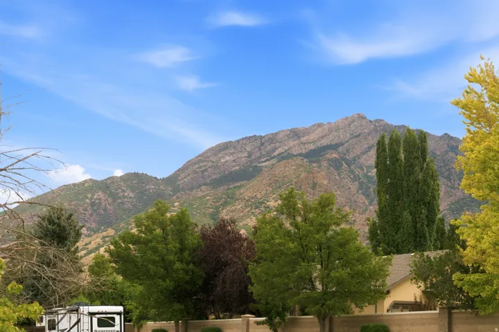 Mountain backdrop with mature trees and a privacy wall