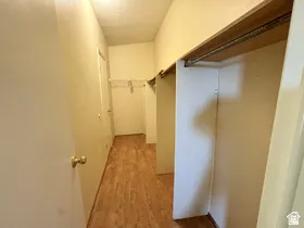Walk-in closet with wood-finish flooring, built-in shelving, and a metal hanging rod