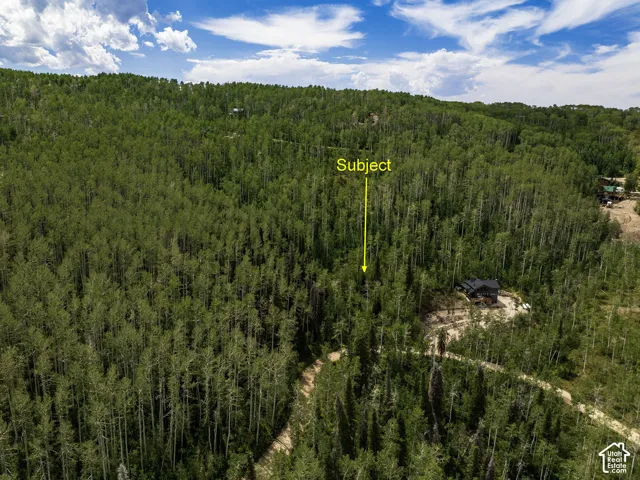 Wooded lot with surrounding mature trees and a distant structure