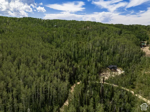 Wooded acreage with a private residence and a winding access road