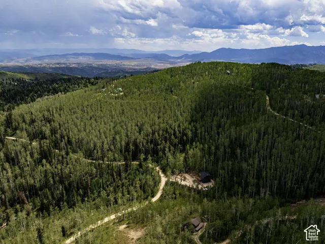 Expansive wooded terrain with a winding dirt road and distant mountain ranges