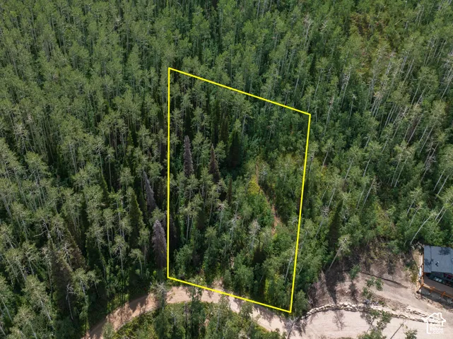 Wooded lot featuring mature trees and a defined property boundary