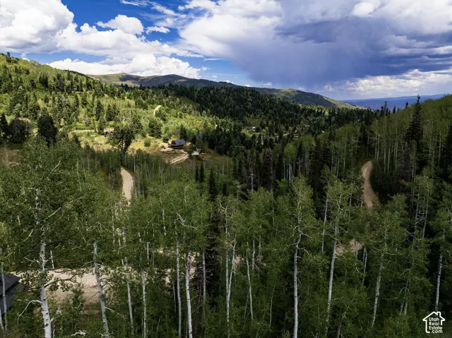 Wooded mountain landscape featuring mature deciduous and evergreen trees, with winding unpaved roads and distant structures