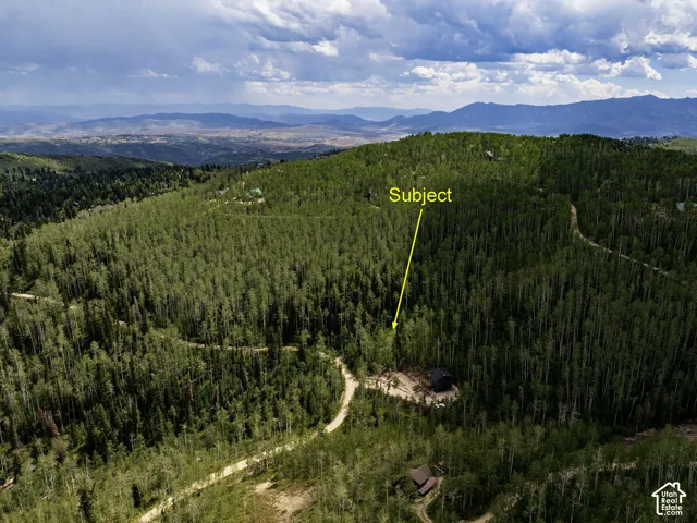 Secluded property surrounded by mature trees, featuring a dark-toned residence and a winding unpaved access road