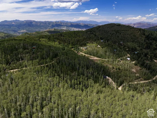 Expansive mountain landscape featuring dense forestation and distant peaks
