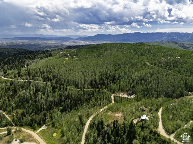 Wooded mountain landscape with winding dirt roads and distant mountain ranges