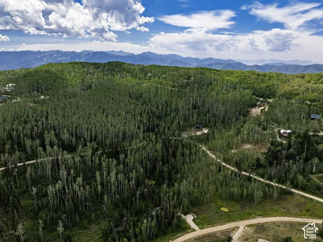 Expansive wooded acreage featuring mature trees, dirt roads, and distant mountain ranges