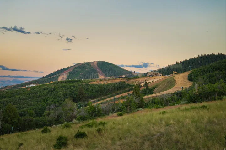 Mountainous terrain featuring extensive tree coverage and visible cleared land