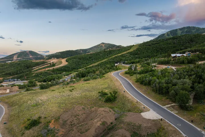 Paved roadway winding through mountainous terrain with dense tree coverage