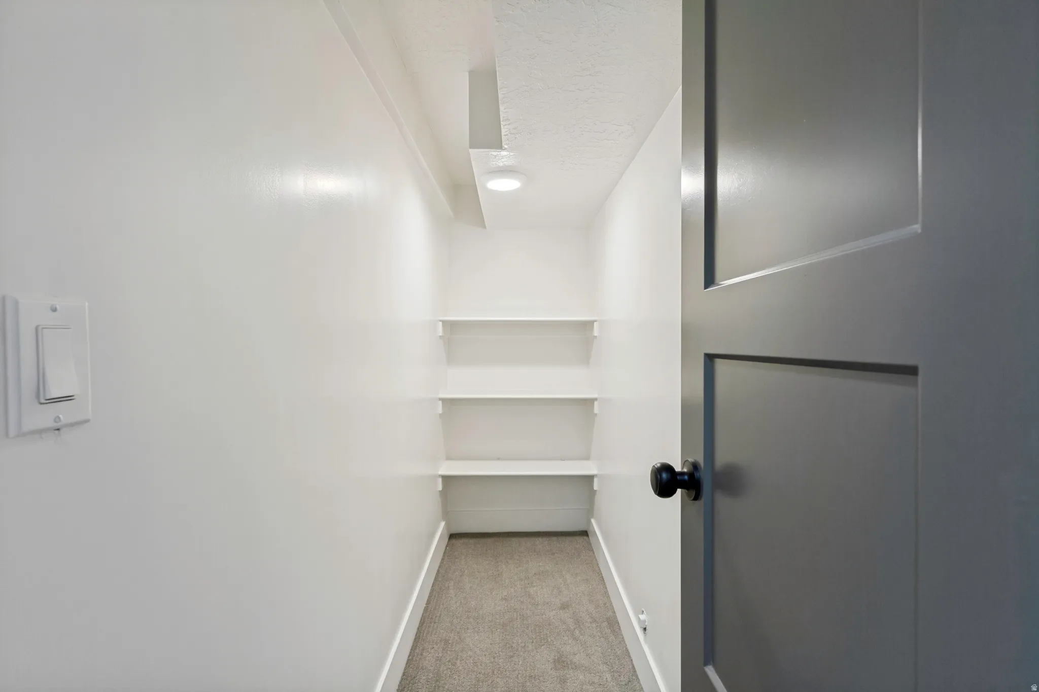 Recessed lighting, built-in shelving, paneled interior door, and neutral carpeting