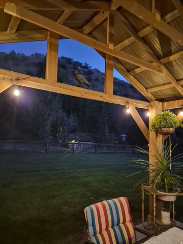 Wood-beam patio cover with a corrugated metal roof, string lighting, and an expansive lawn area