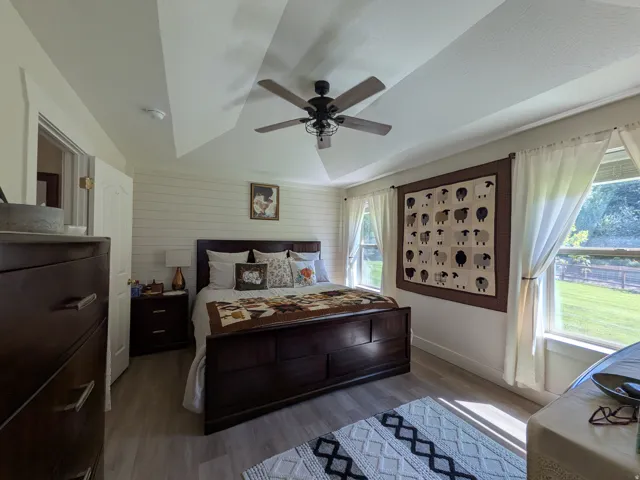 Wood-finish flooring, accent shiplap wall, vaulted ceiling, ceiling fan, and multiple windows