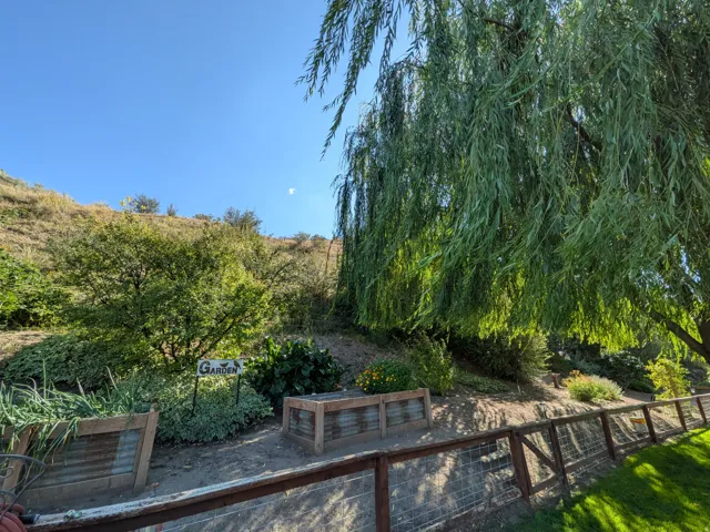 Mature weeping willow tree providing shade over a terraced yard with a garden area
