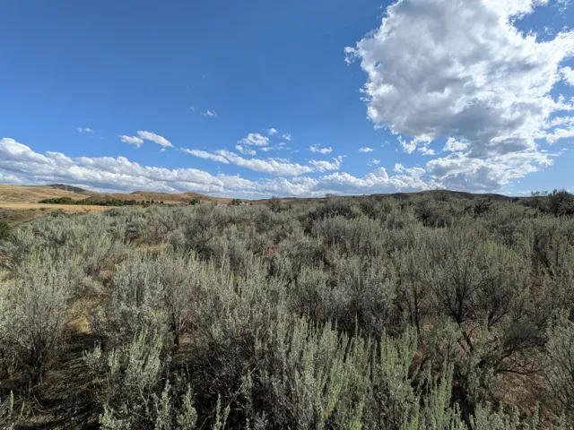 Expansive natural landscape with varied shrubbery, rolling hills, and a vast blue sky