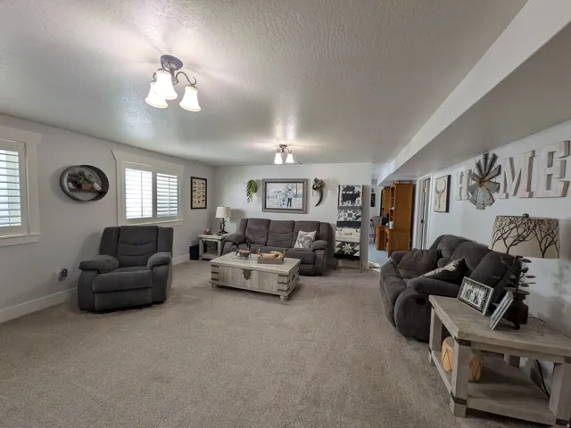Carpeted living area featuring multiple windows with plantation shutters, overhead lighting fixtures, and painted walls