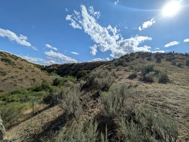 Expansive natural landscape featuring rolling hills and varied shrubbery