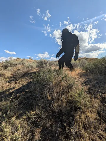 marking the acreage on property.