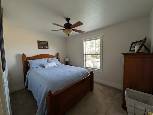 Neutral wall paint, ceiling fan with light fixture, window with blinds, carpeted flooring, and white trim