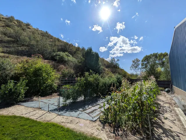 Expansive garden space with cultivated rows and mature plantings