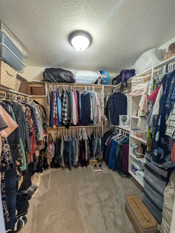 Master Closet with Walk-in closet featuring carpet flooring, built-in shelving, and hanging rods