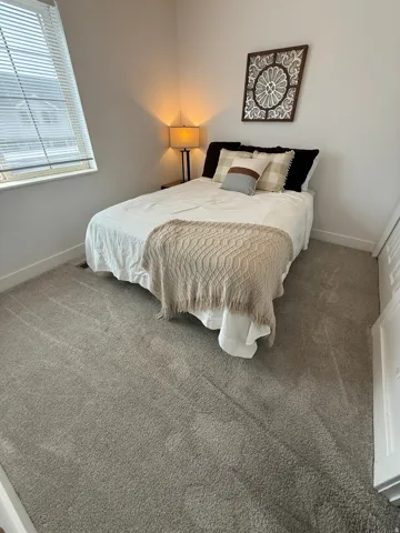 Wall-to-wall carpeting, neutral wall tones, and window with horizontal blinds