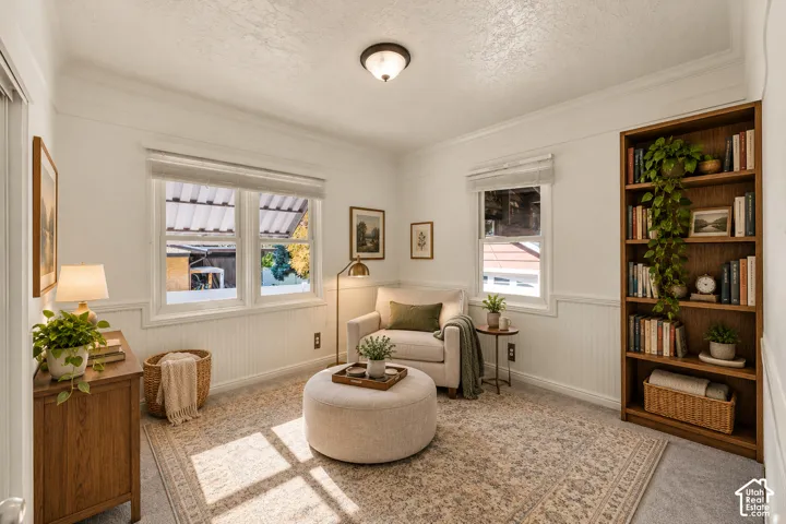 White wall paneling, crown molding, double windows, wood-finish built-in shelving, and a flush mount ceiling light