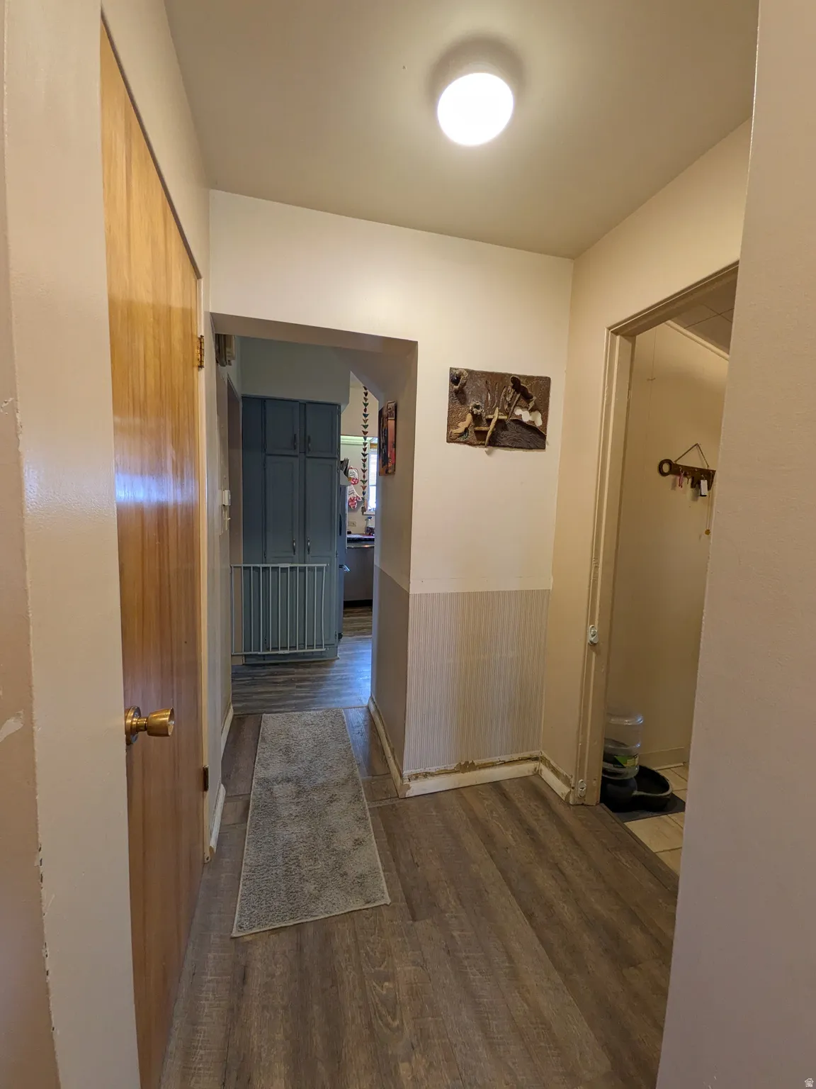 Wood-finish flooring throughout the hallway